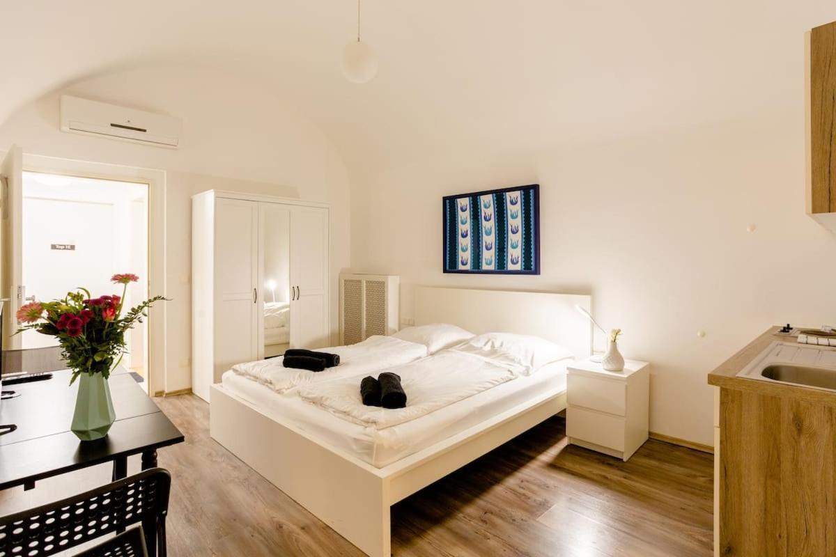 Air Condition I Sights In Walking Distance I 201 Mbit Wifi * Vienne
